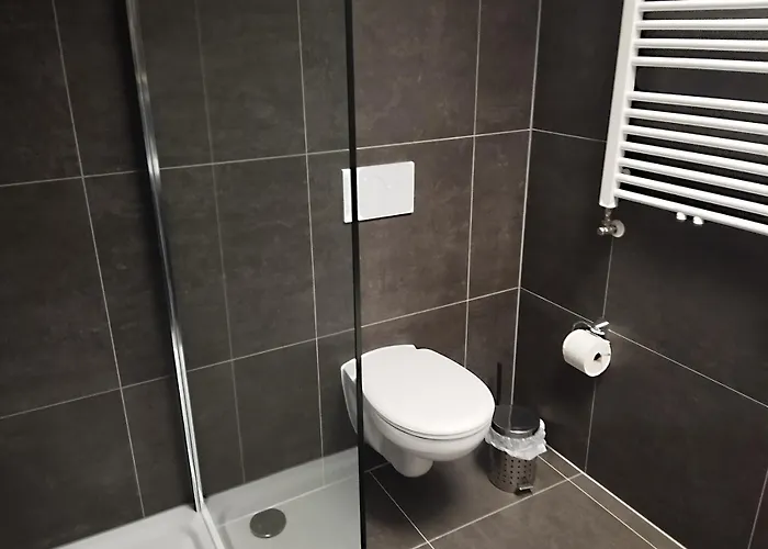 Altstadt Mit Eigenem Parkplatz Und Garten 公寓 波恩